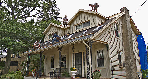 Best Roof Gutter Cleaning  in St George, SC