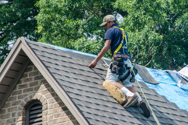 Best Metal Roofing Contractor  in St George, SC